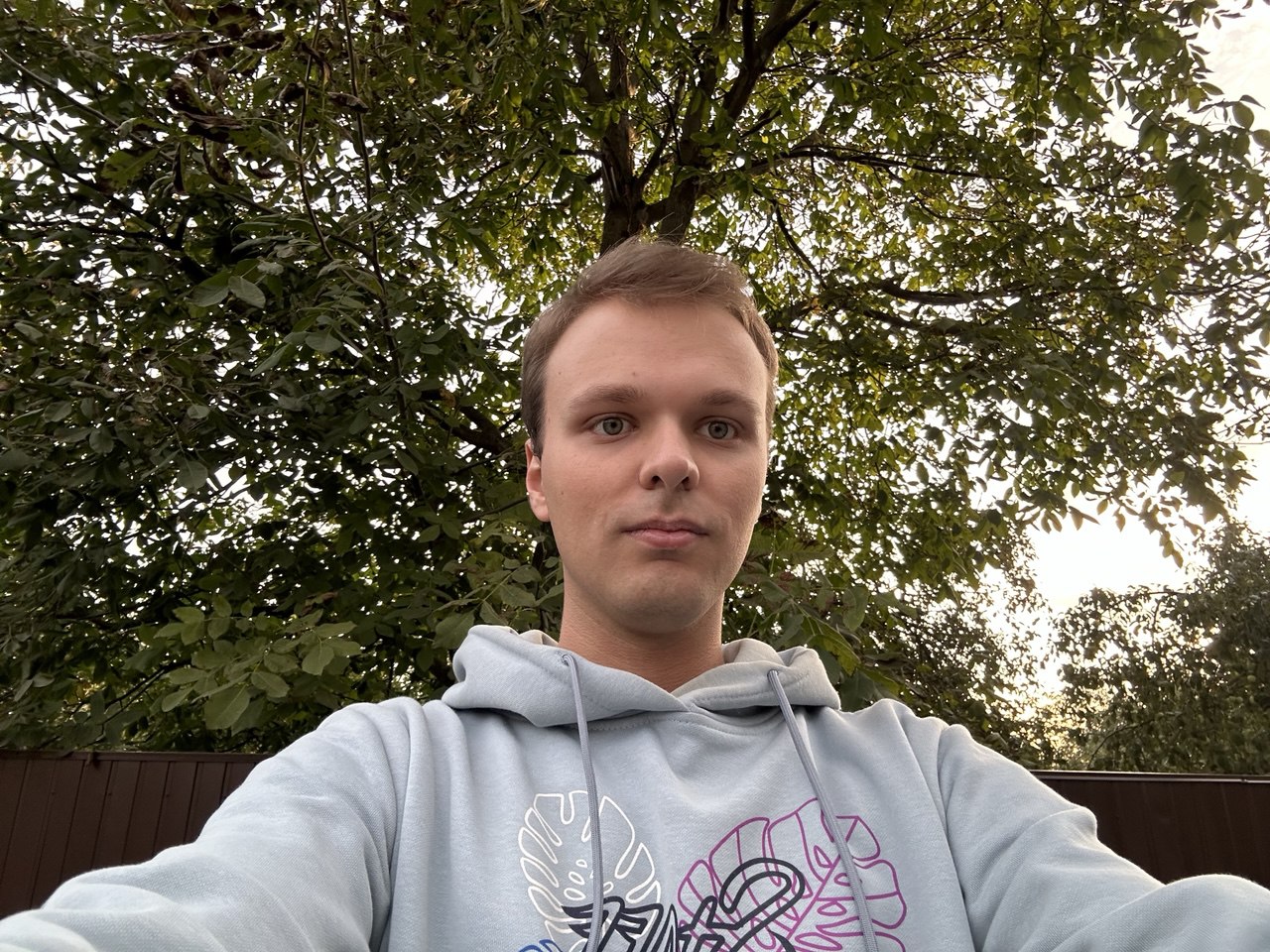 Developer